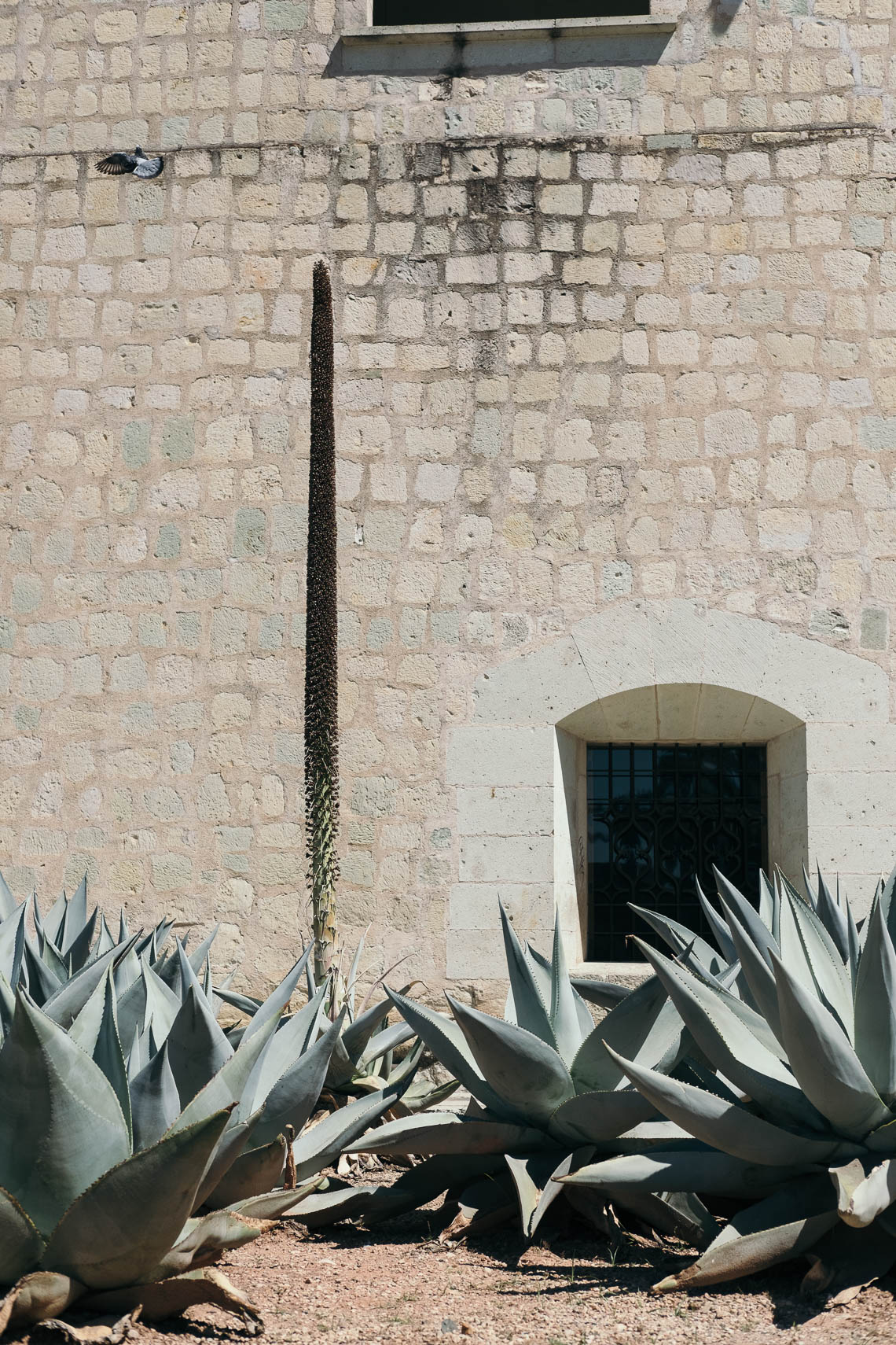 Oaxaca Mexico, Seattle Travel Photographer, Hilary McMullen