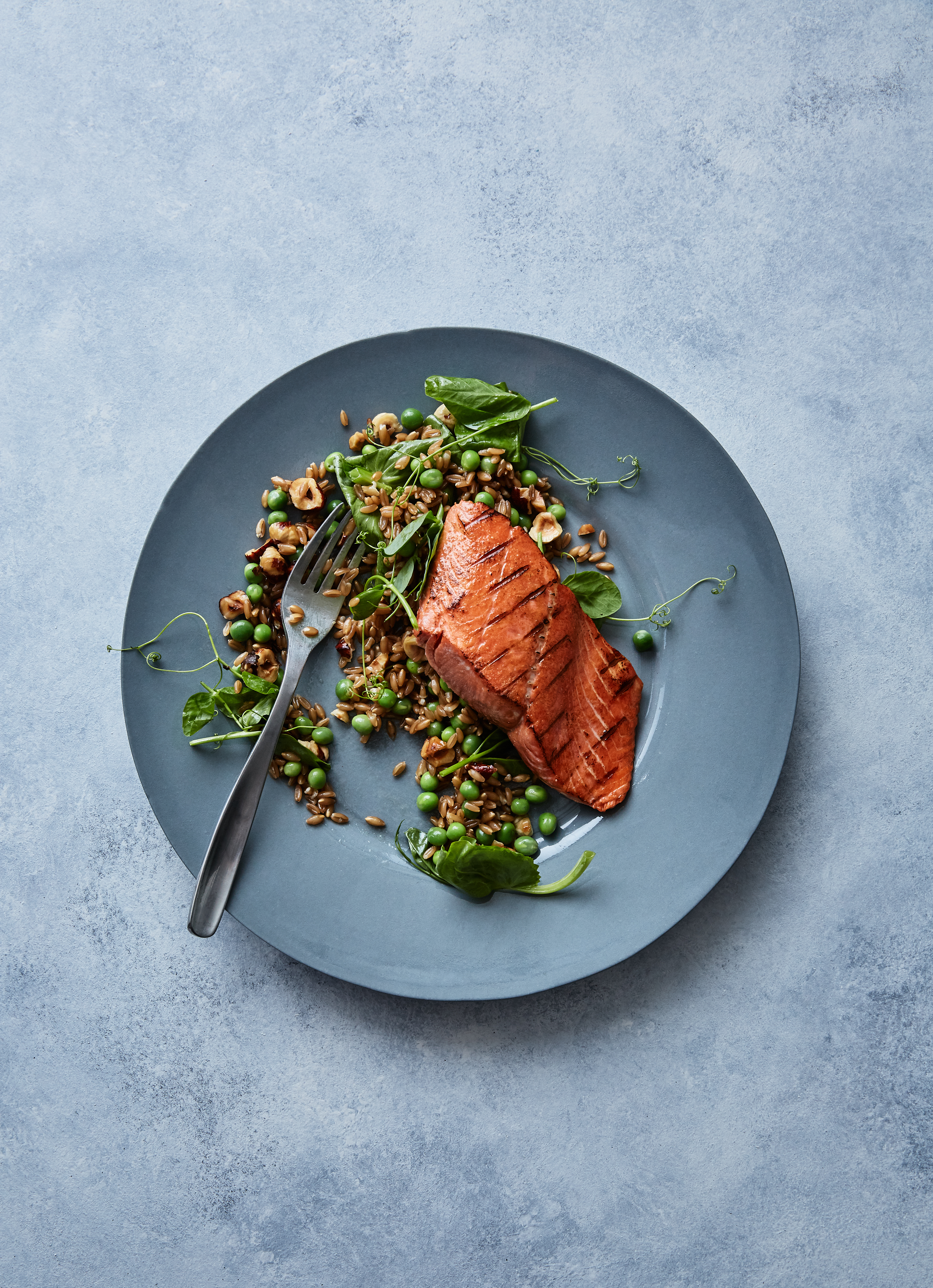 Salmon and Farro, Seattle Food Photographer