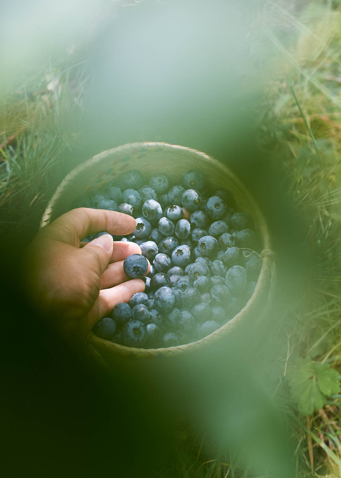 Seattle Food Photographer